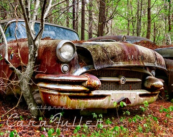 Photograph of a 1955 Buick in the Woods