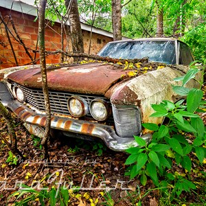 Fotografía de un Buick Riviera de 1963-1964 rodeado de árboles