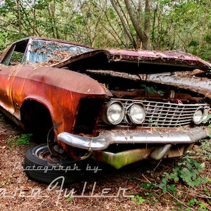 Fotografía de un Buick Riviera de 1963-1964 sobre un neumático en el bosque