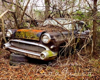 Photograph of a 1957 Buick in the Woods