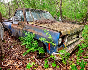 Photograph of a blue 1975 - 1976 Chevy Truck in the Woods