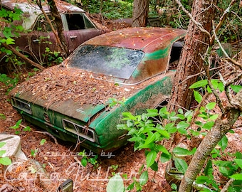 Photograph of a Green 1968 Camaro in the Woods