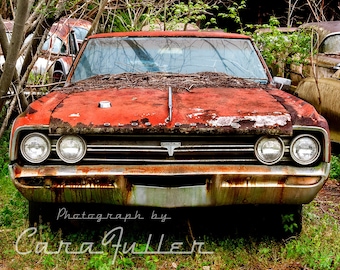 Photograph of a 1964 Oldsmobile Cutlass F85 in woods
