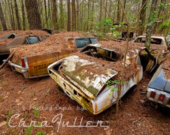 Photograph of a White 1967 - 1969 Camaro and 1969 Cadillac in the Woods