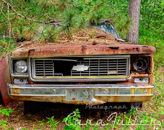 Photograph of a rusty 1973-1974 Chevy C/10 Truck in the Woods