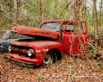 Photograph of a 1951 Red Ford Truck with a tree by the open Door