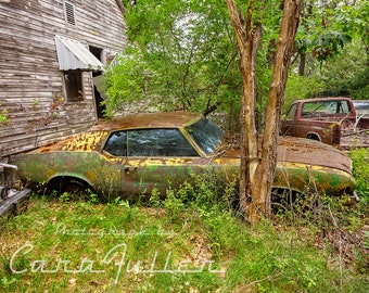 Photograph of a 1971-1972 Oldsmobile Cutlass in the Woods