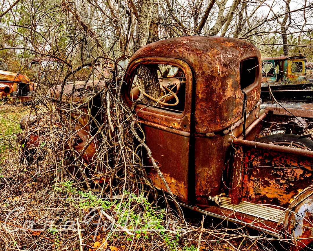 Photograph of a 1941 1947 Rusty Chevy Truck With A Tree - Etsy