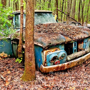 Photograph of a 1961 -1965 Blue Dodge Truck in the Woods