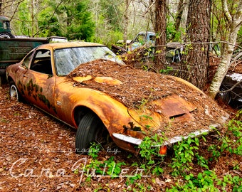 Photograph of the 1970 Opel GT in Woods