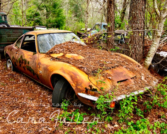 Photograph Of The 1970 Opel Gt In Woods Etsy
