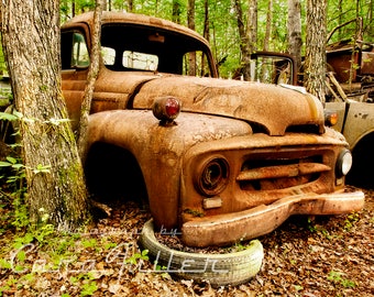 Photograph of the 1953 - 1955 International Truck in Woods