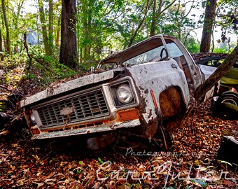 Photograph of a white 1973 - 1974 Chevy C/10 Truck in the Woods with a tree growing from under it