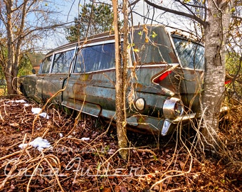 Photograph of a 1961 Cadillac Hearse in woods