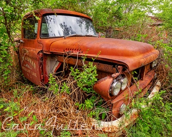 Photograph of a 1959 Dodge Truck in the Woods