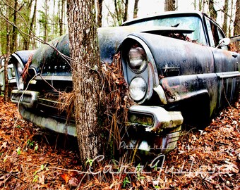 Photograph of a 1957 Lincoln Premier in Woods