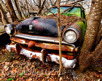 Photograph of a 1953 Rusty Ford Customline in woods