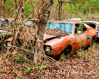 Photograph of a 1971 AMC Javelin in the Woods