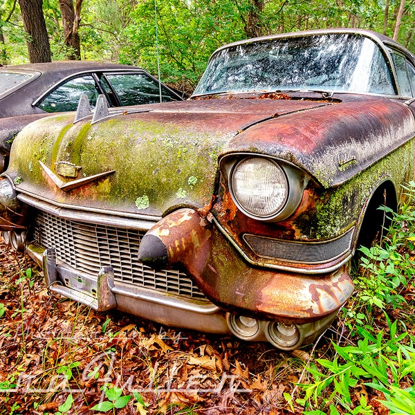 Photograph of a 1957 Cadillac in the Woods