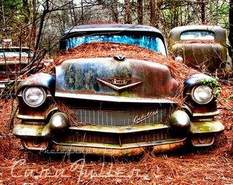 Photograph of a 1956 Cadillac Rusty Car in woods