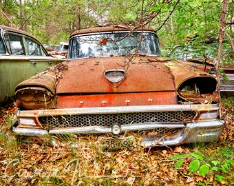 Photograph of a Red 1958 Ford in the woods