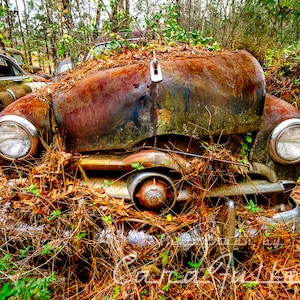 Photograph of a 1950 Ford in the Woods with a bent Hood