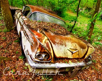 Photograph of a rusty White 1958 Chevy in the Woods