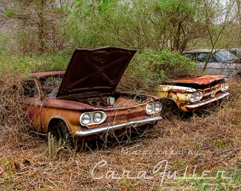 Photograph of two 1964 Chevy Corvair in the Woods