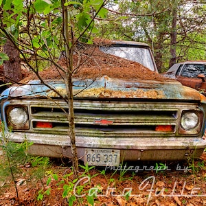 Photograph of a Blue 1967 - 1968 Chevy C/10 Truck in the Woods