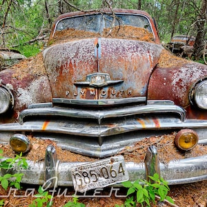 Photograph of a 1950 Plymouth in the Woods