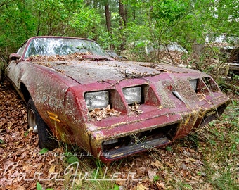 Photograph of a Red 1979 - 1981 Pontiac Transam In the Woods