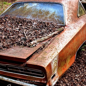 Photograph of a 1969 Dodge Super Bee in the Woods