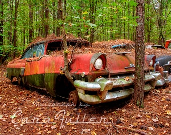 Photograph of a Red and Black 1956 Mercury in the Woods