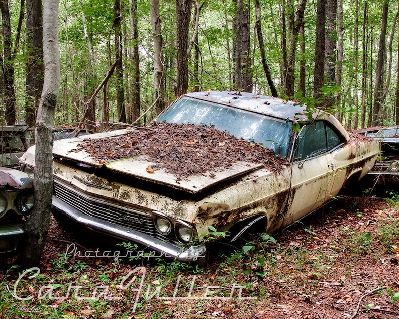 Photograph of a 1965 White Chevy Impala in the Woods Etsy