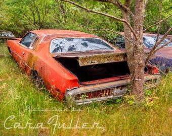 Photograph of a 1974 Dodge Charger in the Woods