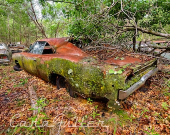 Photograph of a 1968 Green Dodge Charger in the Woods with Moss growing on it