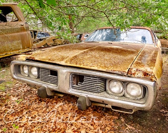 Photograph of a 1973 Yellow Dodge Charger in the Woods