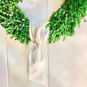 May include: A circular wreath of bright green boxwood leaves, tied with a cream-coloured ribbon. The wreath is set against a white backdrop, offering a fresh, natural look. Ideal for home decoration.