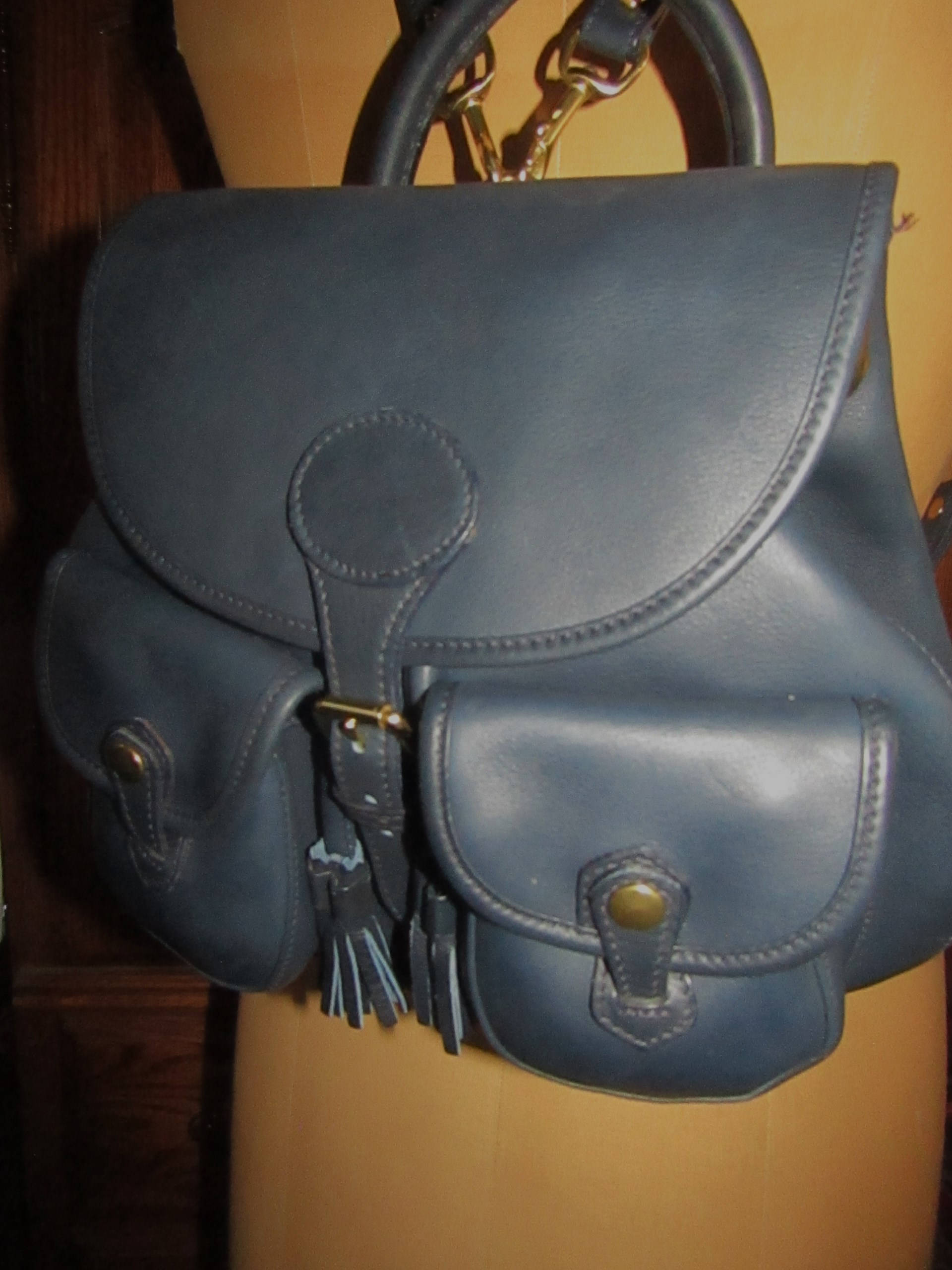 Dooney & Bourke Blue and Brown Backpack DOONEY & BOURKE backpack | Mercari main image 2
