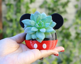 Jardinière pour souris imprimée en 3D Succulente Pot de plantes d’intérieur