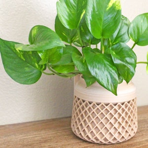 Geometric Wood 3D Printed Planter Self Watering Indoor Plant Pot image 1