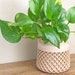 see more listings in the Modern Planters section