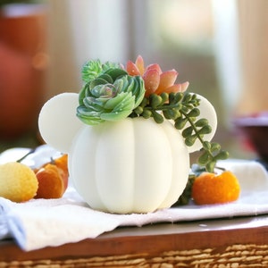 Mouse Pumpkin Planter 3D Printed Succulent Indoor Plant Pot