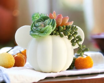 Pot de plante succulente imprimé en 3D Mouse Pumpkin Planter