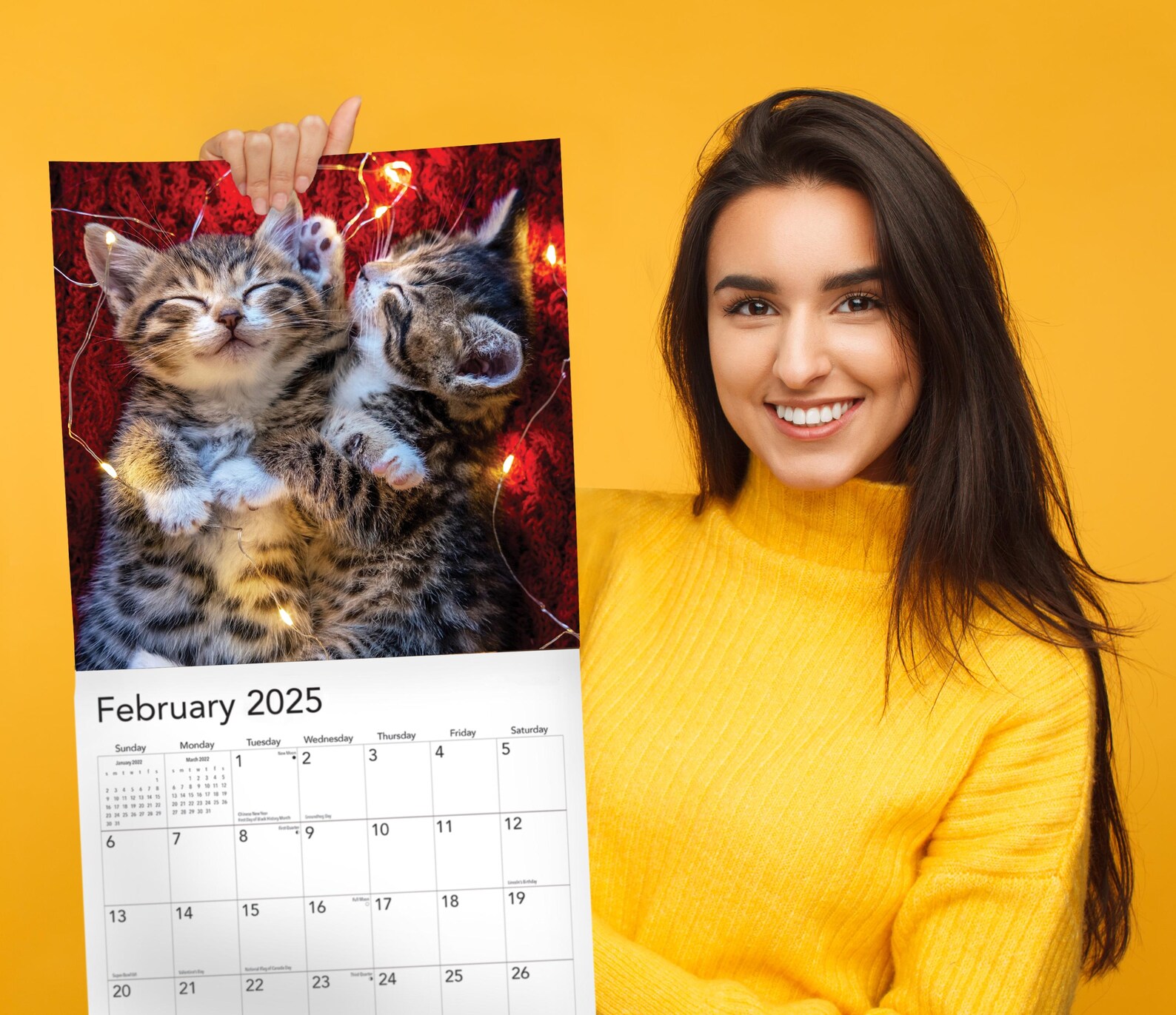 2025-2026 Cat Naps Wall Calendar - 18 Month Sleeping Kittens Calendar July 2025 To December 2026