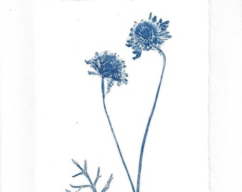 Monoprint Art Card Wild Pincushions No. 3