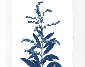 Monoprint Art Card Flowering Herb No.3