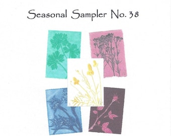 Seasonal Sampler No.38 Set of 5 Monoprint Notecards