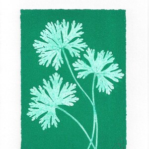 Original Monoprint Wild Geranium No.19 imagen 2