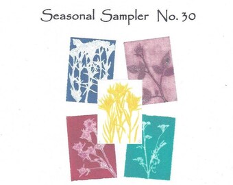 Seasonal Sampler No.30 Set of 5 Monoprint Notecards